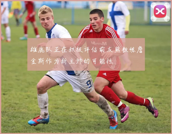 雄鹿队正在积极评估前灰熊教练詹金斯作为新主帅的可能性