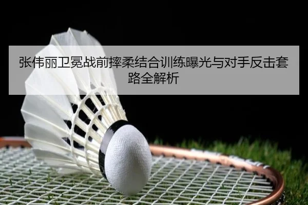 张伟丽卫冕战前摔柔结合训练曝光与对手反击套路全解析